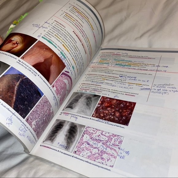 Pathoma Fundamentals of Pathology USMLE prep book - Picture 7 of 7